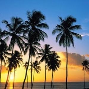 Meet your Posher, Jayme